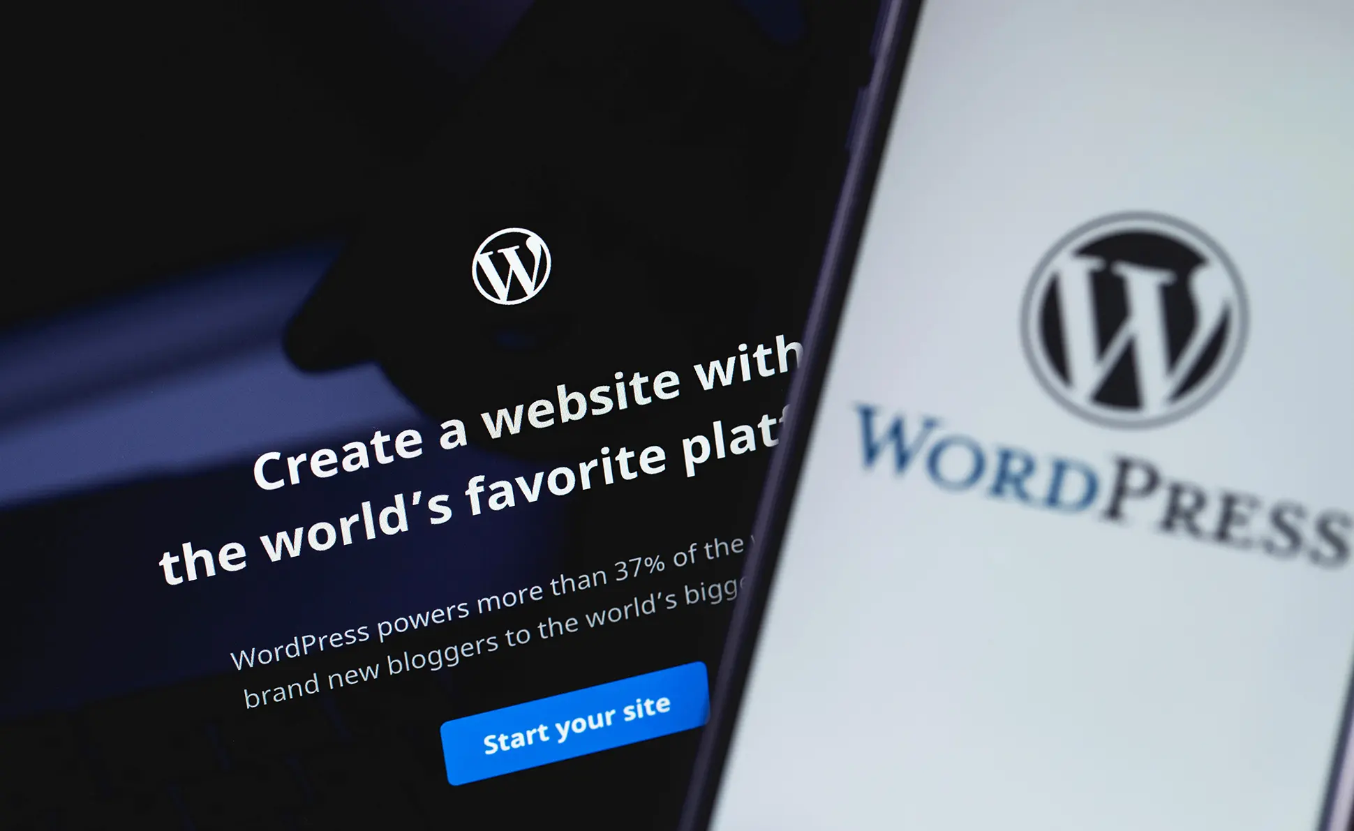 WordPress website design